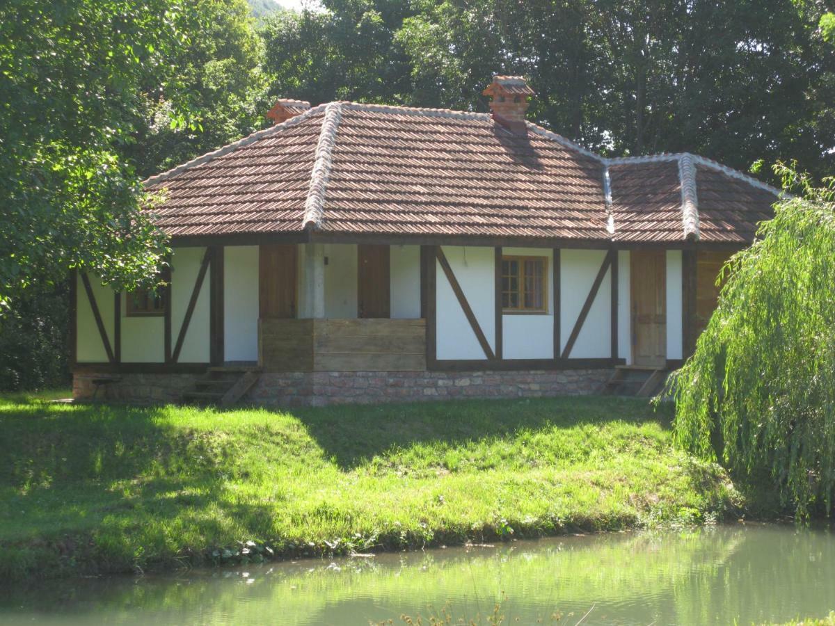 Vodenica Lug Villa Strmosten Exterior photo